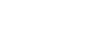 BNI-logo-w.png