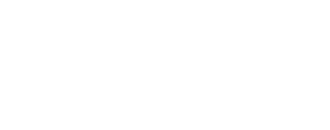 Google-Partner-logo-w-1.png