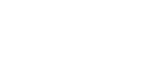 Google-Partner-logo-w.png